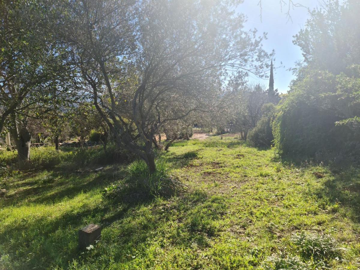 Zen Carnoules (Var)