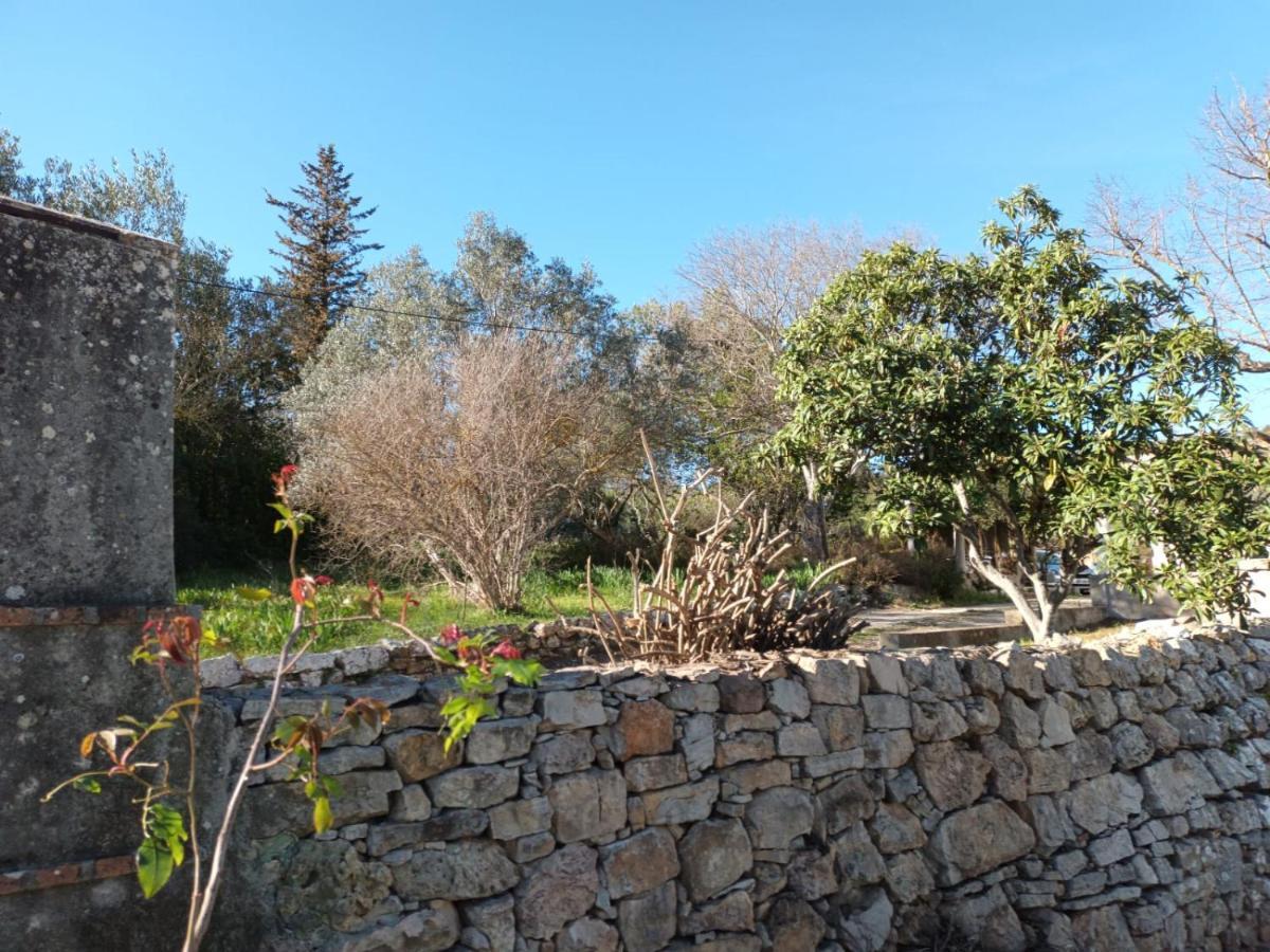 Zen * Carnoules (Var)