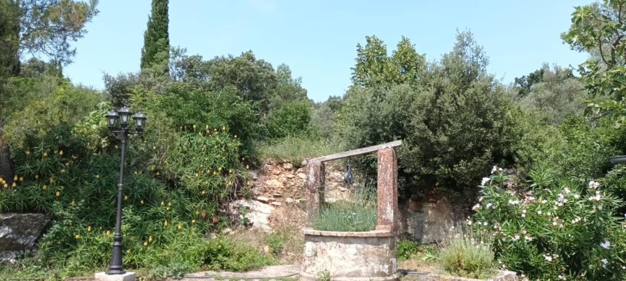 Zen * Carnoules (Var)